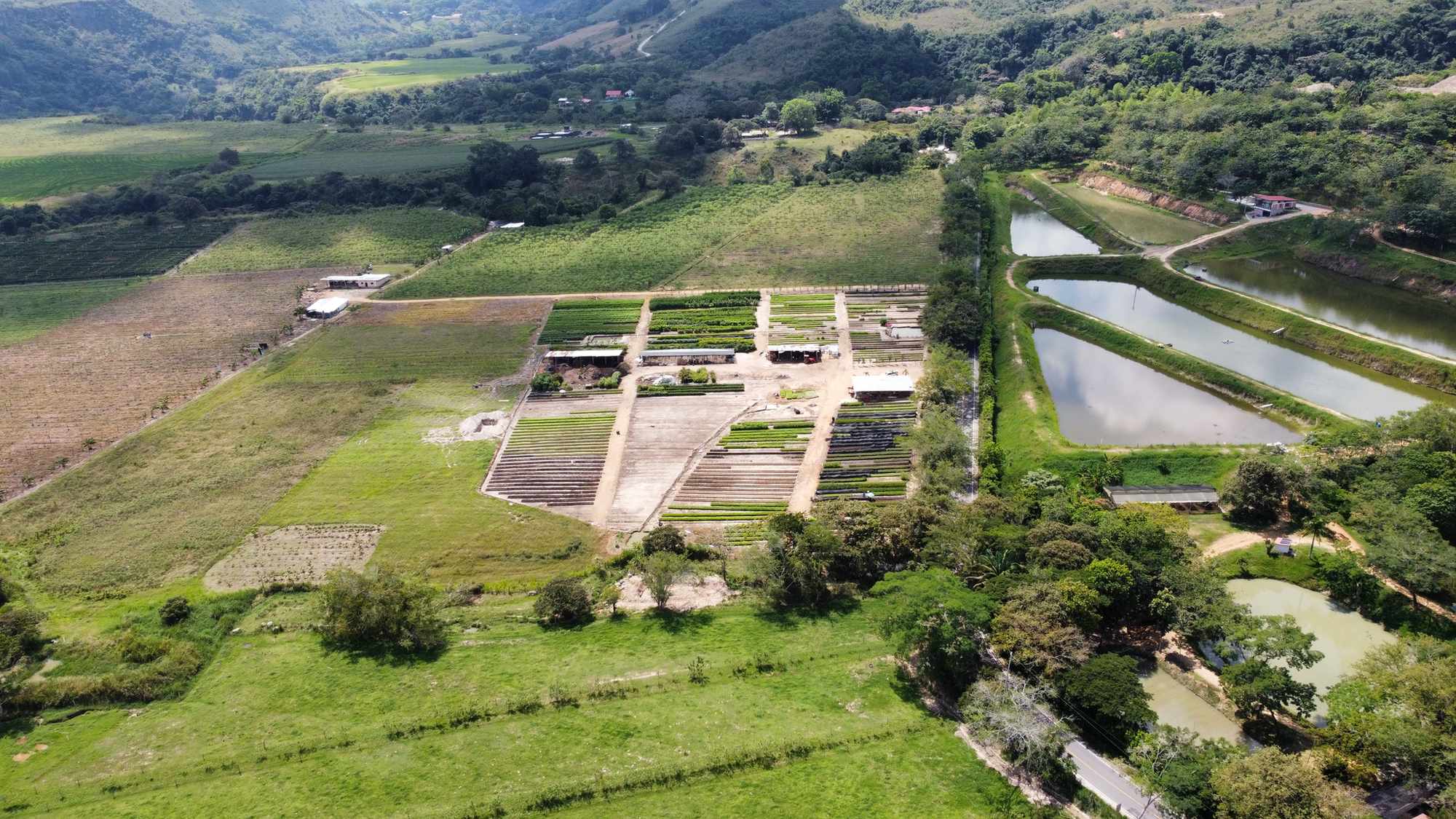 Vivero Cenproforest 4