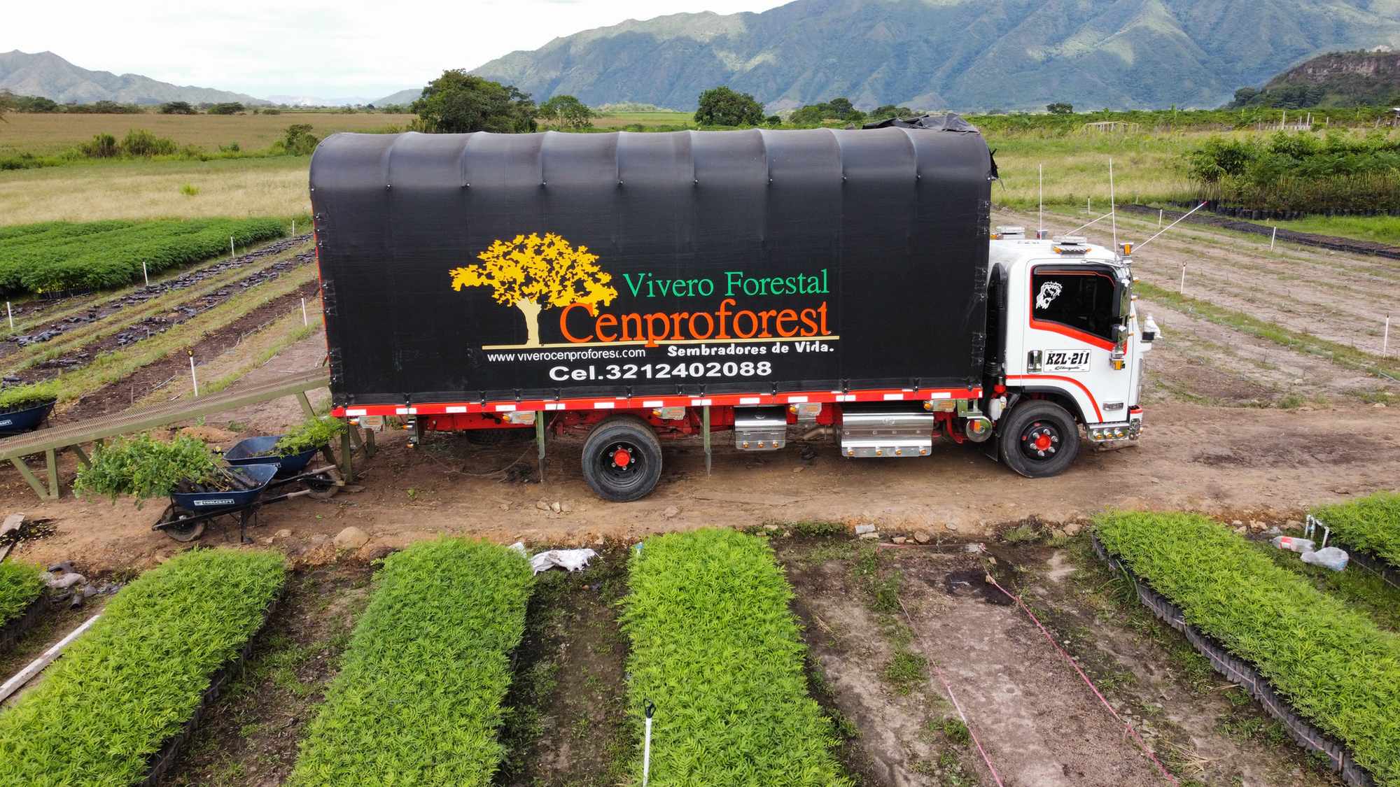 Vivero Cenproforest 9