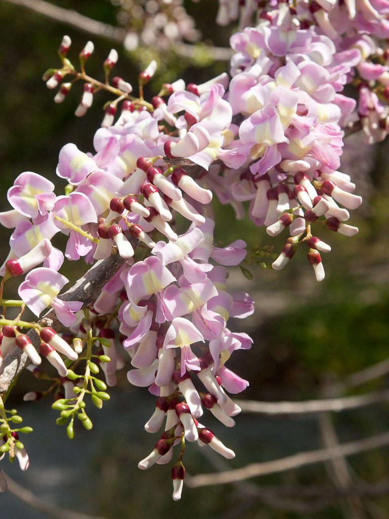 Matarratón - Vista 3